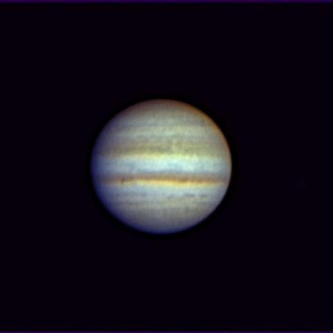 今年最初の木星