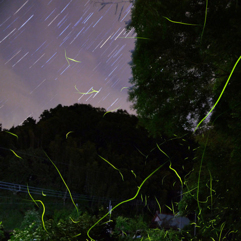 宙（そら）と地上の軌跡