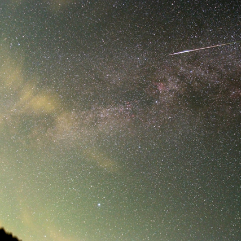 夏の大三角とペルセウス座流星群
