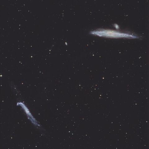 NGC4631 /  NGC4656