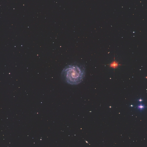 NGC3184 おおくま座の銀河