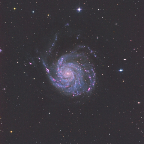 M101