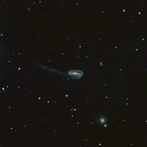 UGC10214 りゅう座　オタマジャクシ銀河