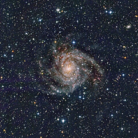 IC342