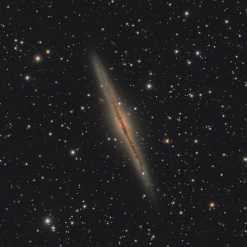 NGC891