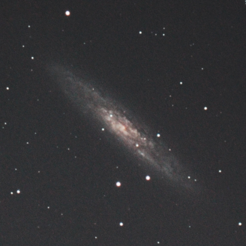 NGC253