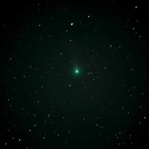 11月12日のLovejoy彗星