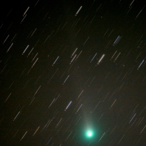 11月13日のLovejoy彗星