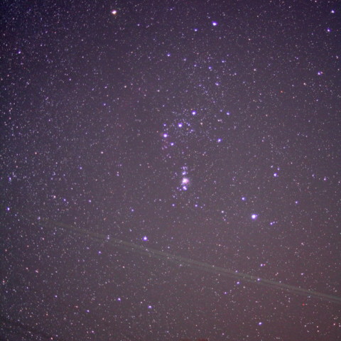 オリオン座ちゃん（・ω・）／