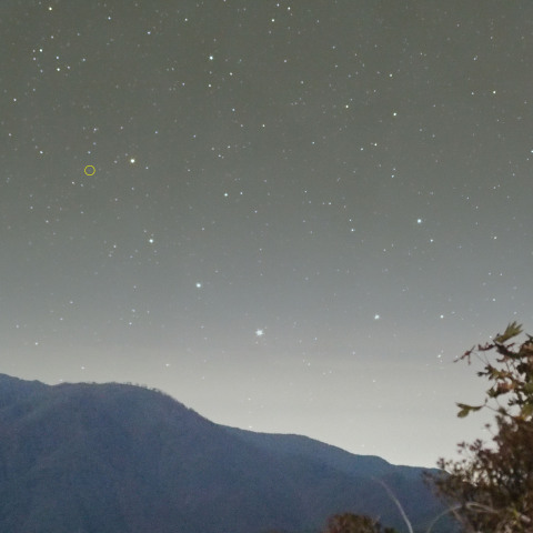 2024年10月13日　かんむり座T