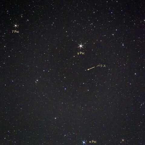 2021年8月28日 小惑星パラス