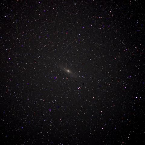 M31