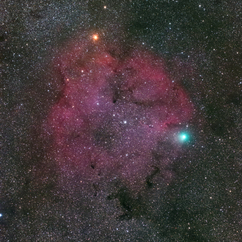IC1396を横切るジャック彗星