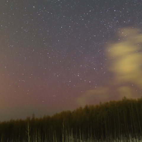 低緯度オーロラ