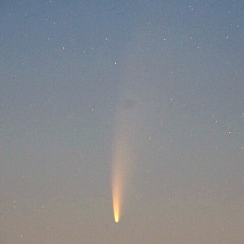 ネオワイズ彗星