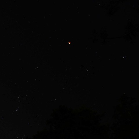 家から皆既月食