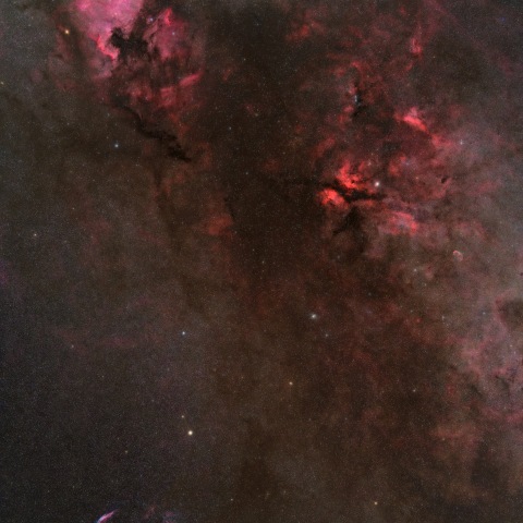 北アメリカ星雲と網状星雲