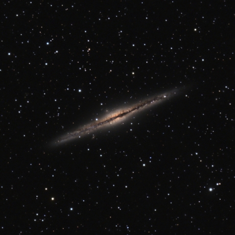 NGC891