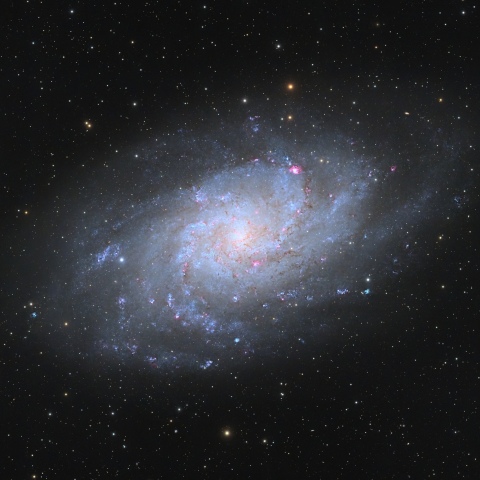 M33