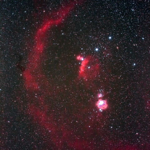 バーナードループ