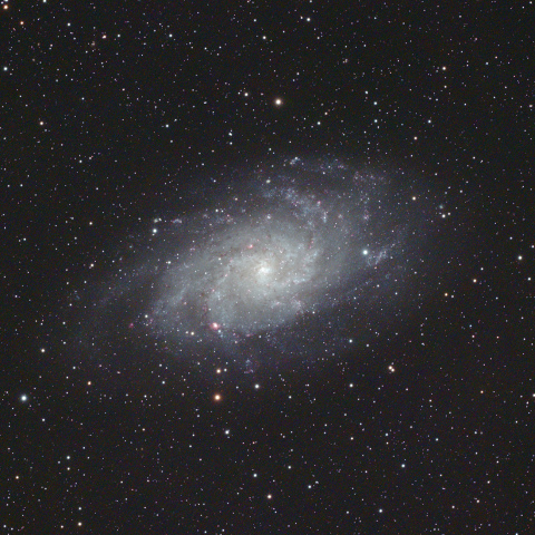 M33