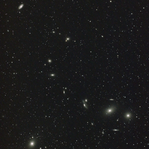 マルカリアンチェーン