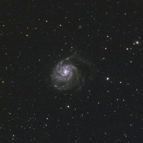 M101