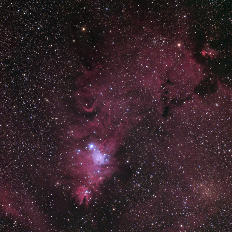 クリスマスツリー星団