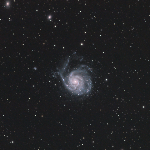M101