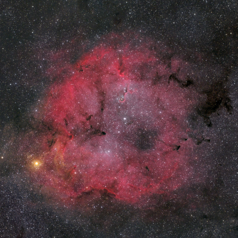 IC1396