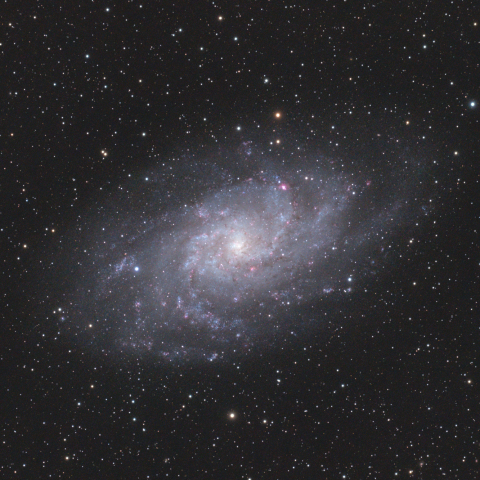 M33