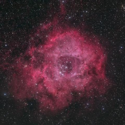 ばら星雲（再）