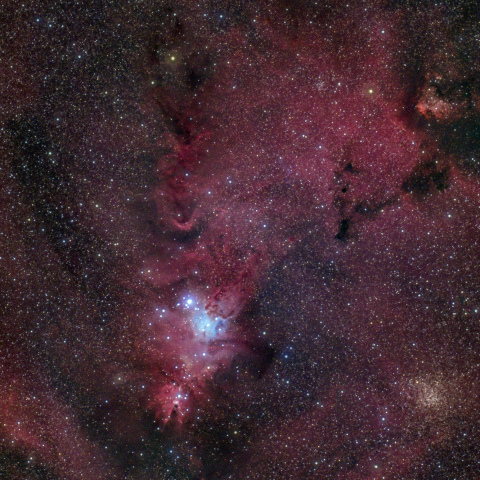 クリスマスツリー星団（再）