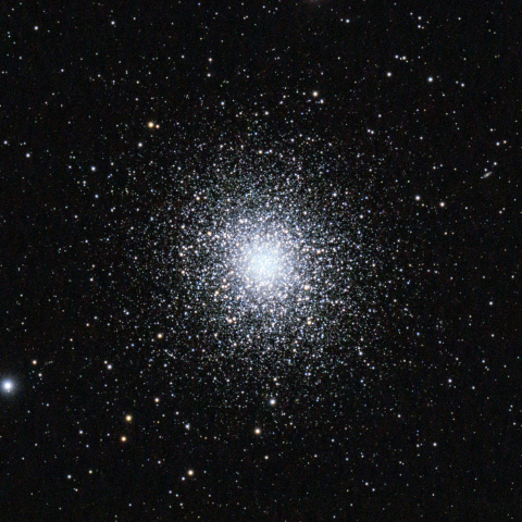 M13