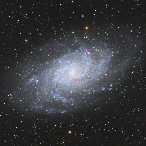 M33