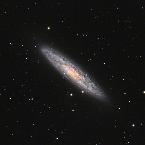 NGC253