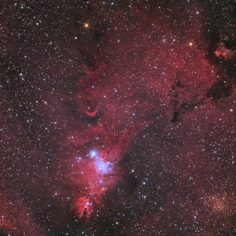 クリスマスツリー星団