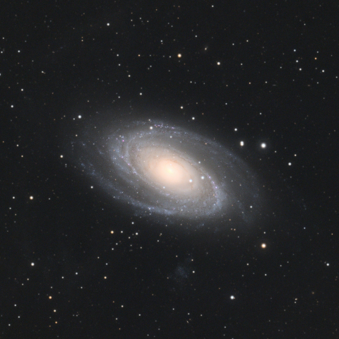 M81