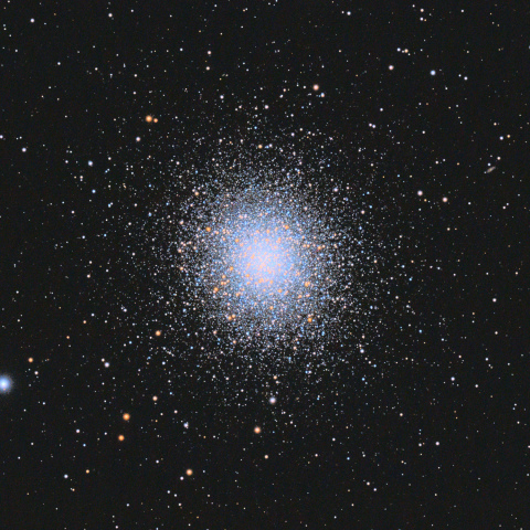 M13