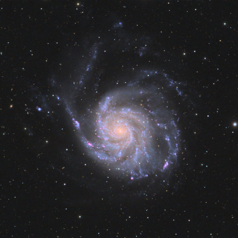 M101