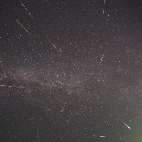 極大夜の2016年ペルセウス座流星群