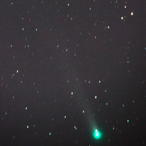 ラブジョイ彗星 2013/11/29