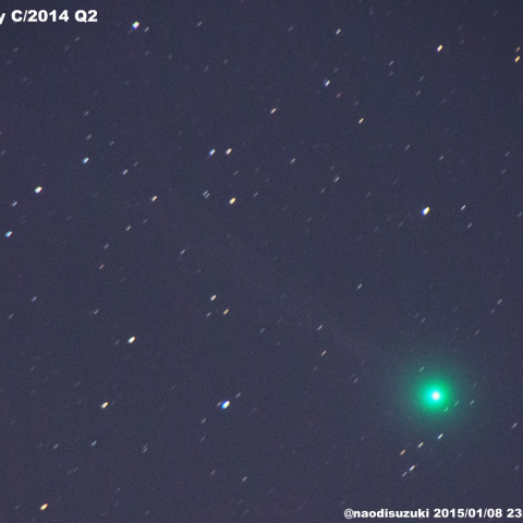 自宅庭からラブジョイ彗星C/2014 Q2