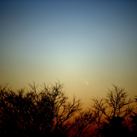 パンスターズ彗星3月11日