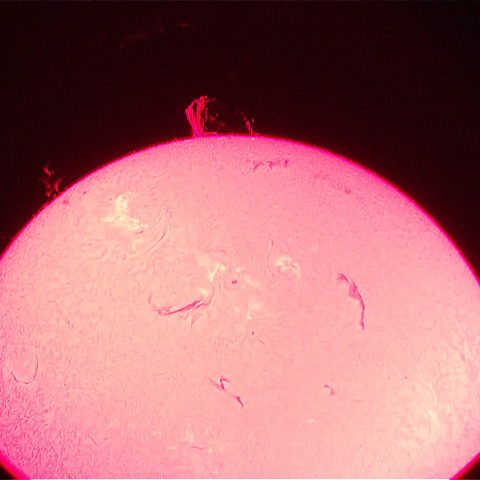 プロミネンス　7/29