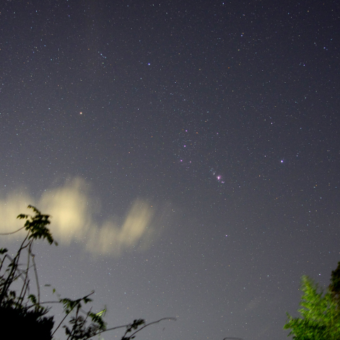 昇るオリオン座