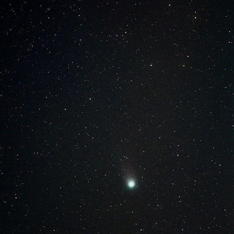 12P/ポン・ブルックス彗星　2024/03/08