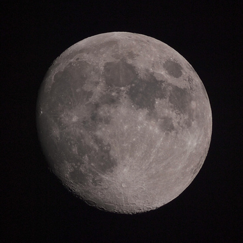 十三夜（栗名月）