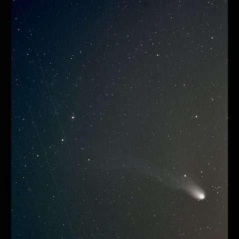 12P/ポン・ブルックス彗星　2024/04/10