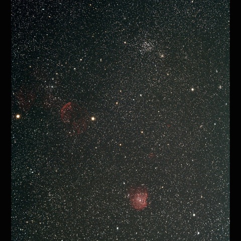 モンキー　クラゲ　M35